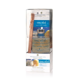 Beurre de Karité & Bois de Cèdre (Shea butter & Cedarwood) - bougie...