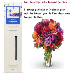 Lavande de Provence (Provence Lavender) - bougies cadeaux soins du ...