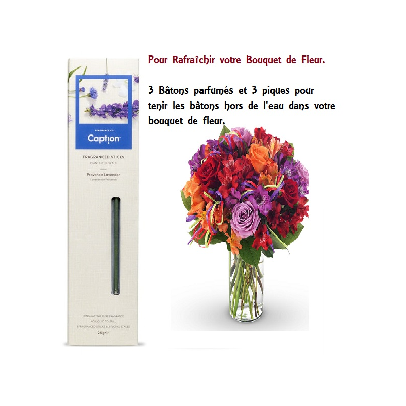 Lavande de Provence (Provence Lavender) - bougies cadeaux soins du ...