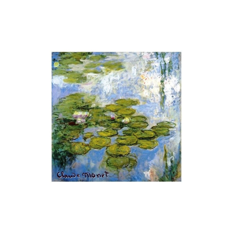 Rose - Les Nymphéas