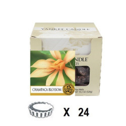 Campaca en Fleur x 24