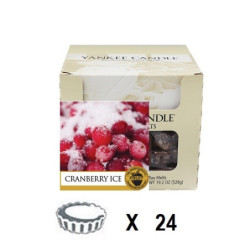 Canneberge Givrée x 24