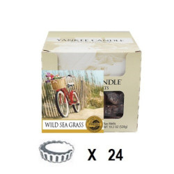 Dunes de Cape Cod x 24