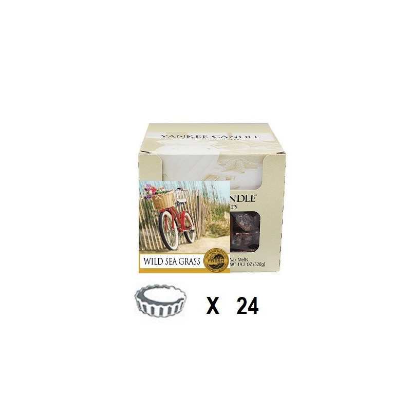 Dunes de Cape Cod x 24