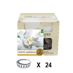 Gardénia Blanc x 24