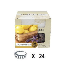 Lavande Citronnelle x 24
