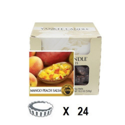Mangue et Pêche Salsa x 24