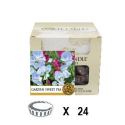 Pois de Senteur x 24