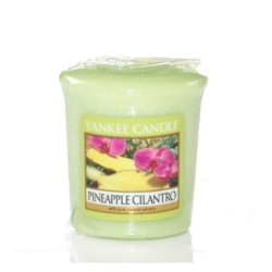Ananas Coriandre x 18