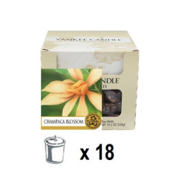 Campaca en Fleur (Champaca Blossom) x 18