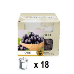 Cassis (Cassis) x 18