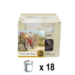 Dunes de Cape Cod (Wild Sea Grass) x 18