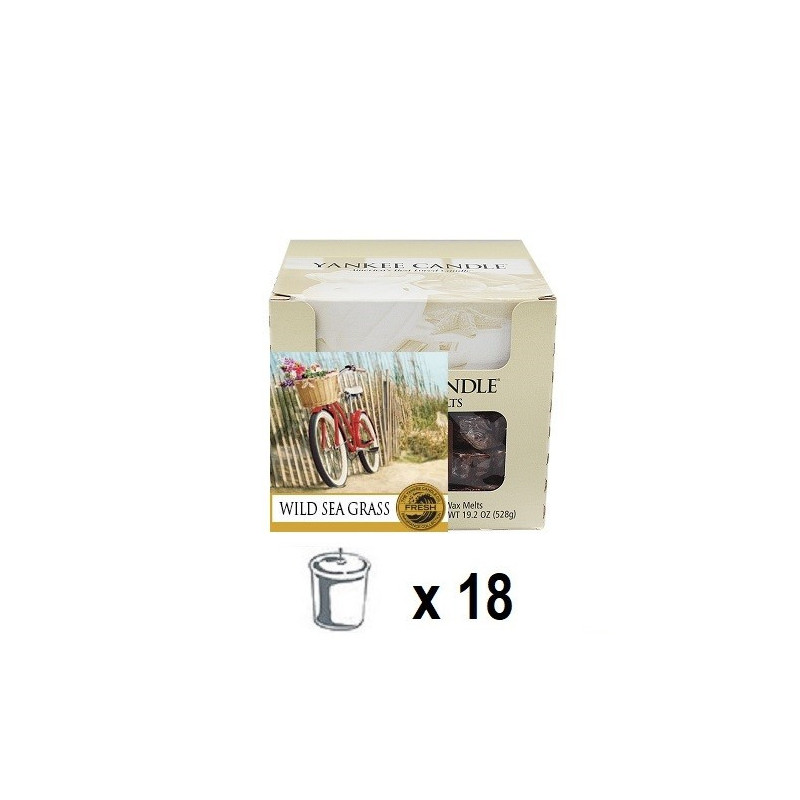 Dunes de Cape Cod (Wild Sea Grass) x 18