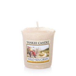 Dunes de Cape Cod (Wild Sea Grass) x 18