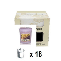 Lavande Citronnelle (Lemon Lavender) x 18