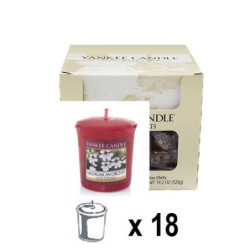 Orchidée de Madagascar (Madagascar Orchid) x 18