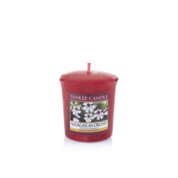 Orchidée de Madagascar (Madagascar Orchid) x 18