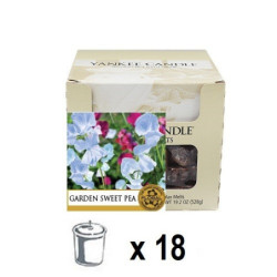 Pois de Senteur (Garden Sweet Pea) x 24