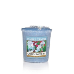 Pois de Senteur (Garden Sweet Pea) x 24