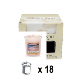 Sable Rose (Pink Sands) x 18