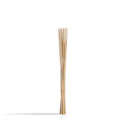 Sets Fagot Diffuseur