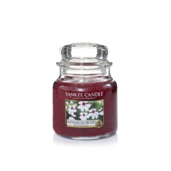 Orchidée de Madagascar (Madagascar Orchid) - bougies cadeaux soins ...