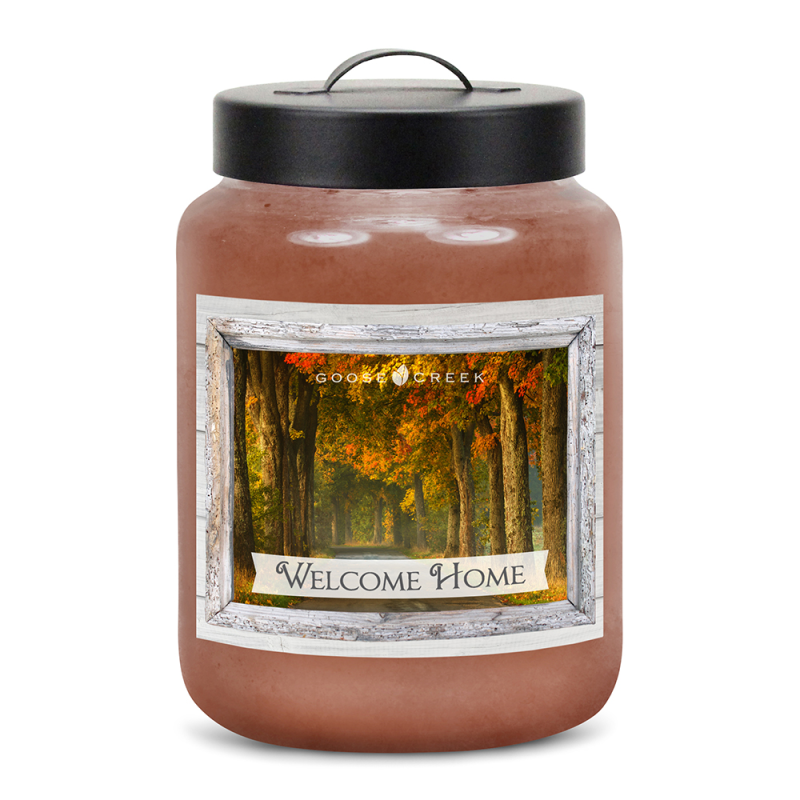 Donuts aux Sucre de Canelle / Sugared Cinnamon Donut - bougies cade...