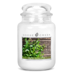 Eucalyptus à la menthe / Minted Eucalyptus - bougies cadeaux soins ...