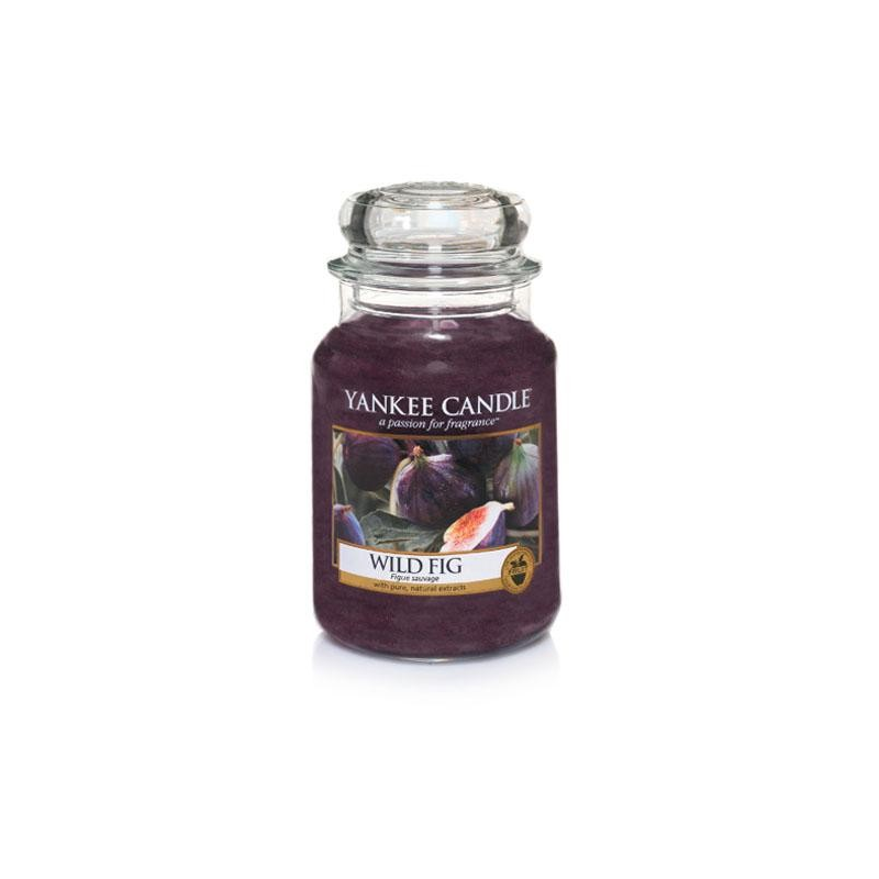 Figue Sauvage (Wild Fig) - bougies cadeaux soins du corps