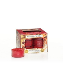 Cannelle Pétillante (Sparkling cinnamon) - bougies cadeaux soins du...