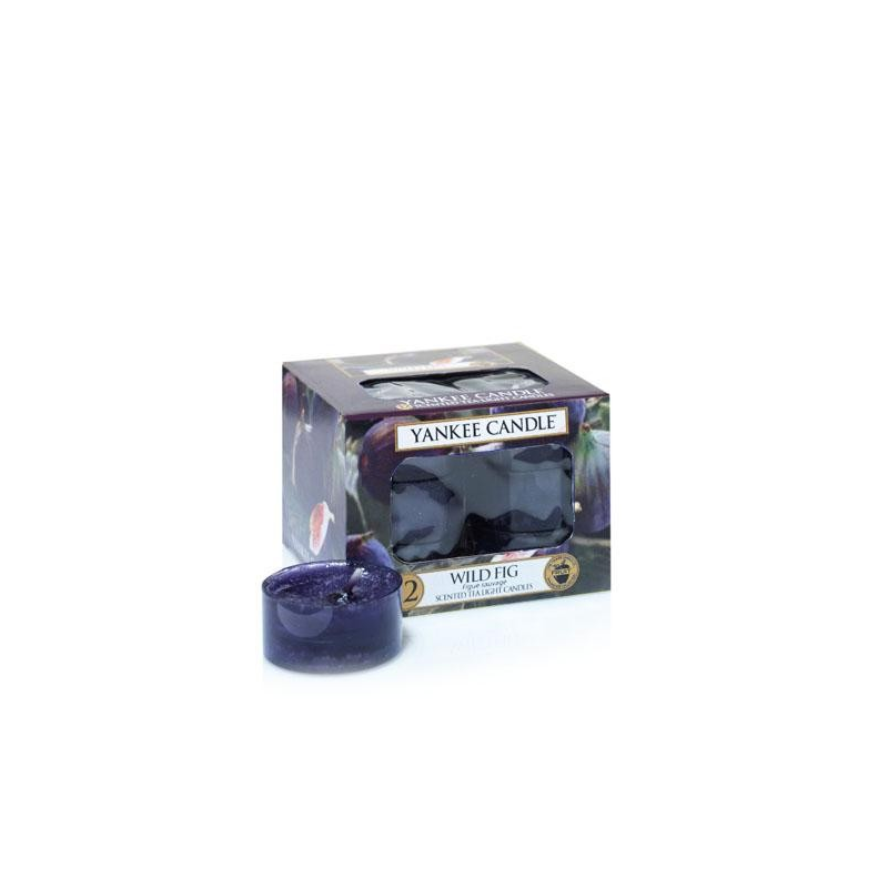 Figue Sauvage (Wild Fig) - bougies cadeaux soins du corps