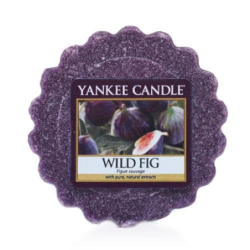 Figue Sauvage (Wild Fig) - bougies cadeaux soins du corps